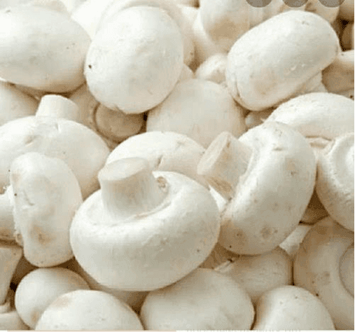 White fungus 1 kg